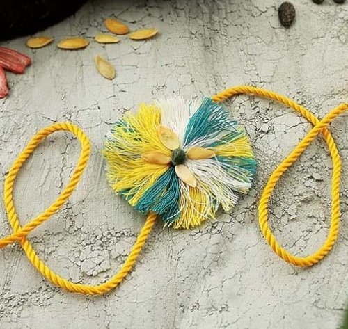 Seeds Rakhi Online
